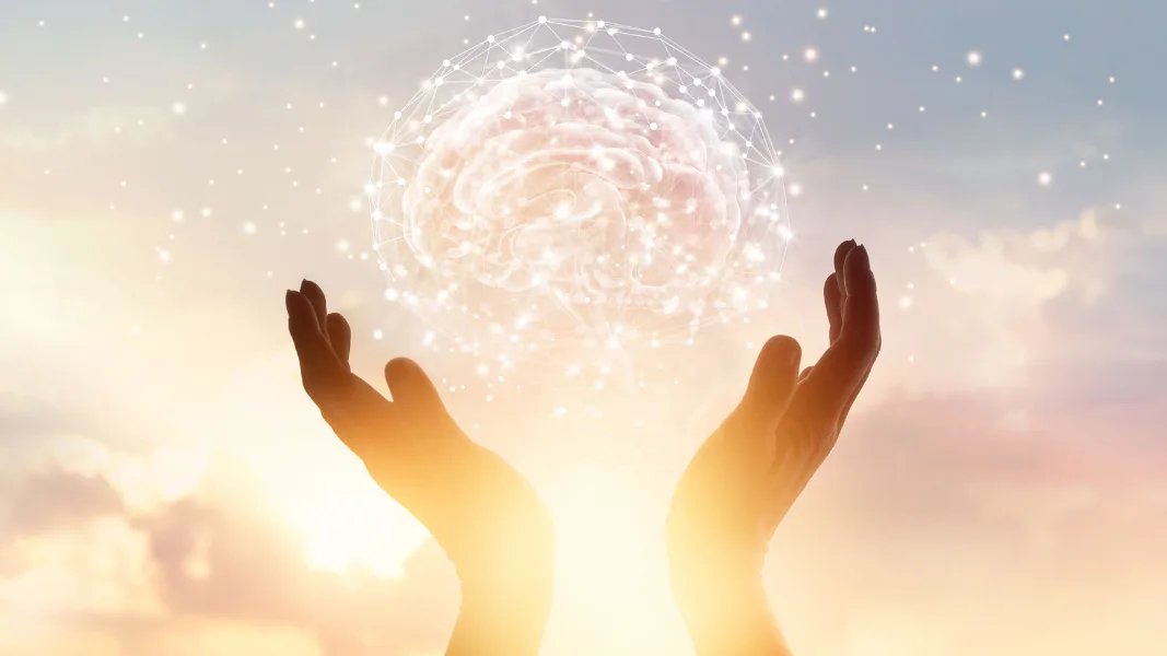 Wellbeing Virtual Bootcamp